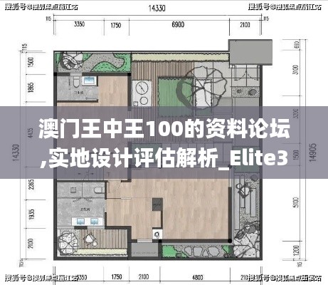 澳门王中王100的资料论坛,实地设计评估解析_Elite3.109