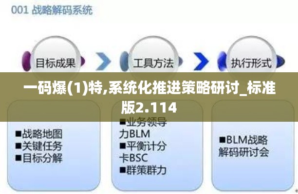 一码爆(1)特,系统化推进策略研讨_标准版2.114
