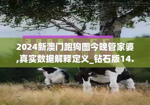2024新澳门跑狗图今晚管家婆,真实数据解释定义_钻石版14.562