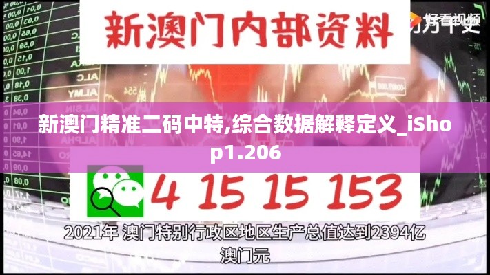 新澳门精准二码中特,综合数据解释定义_iShop1.206