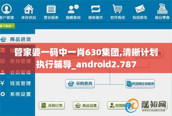 管家婆一码中一肖630集团,清晰计划执行辅导_android2.787