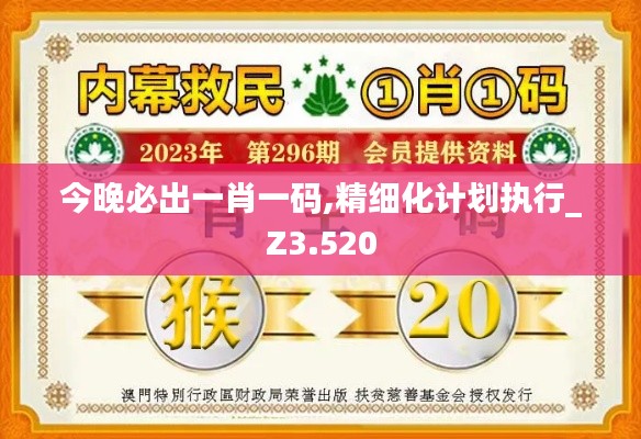 今晚必出一肖一码,精细化计划执行_Z3.520