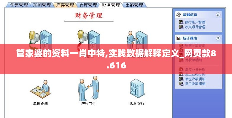 管家婆的资料一肖中特,实践数据解释定义_网页款8.616