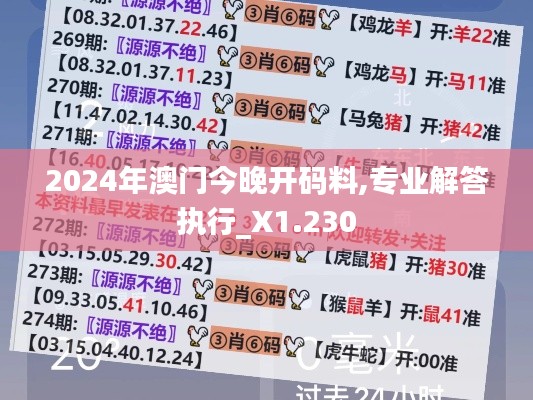 2024年澳门今晚开码料,专业解答执行_X1.230
