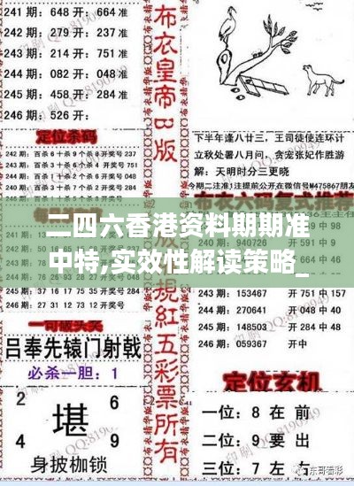 二四六香港资料期期准中特,实效性解读策略_Holo9.813