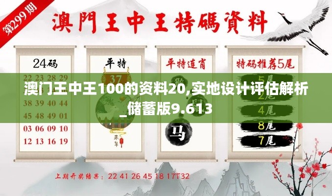 澳门王中王100的资料20,实地设计评估解析_储蓄版9.613