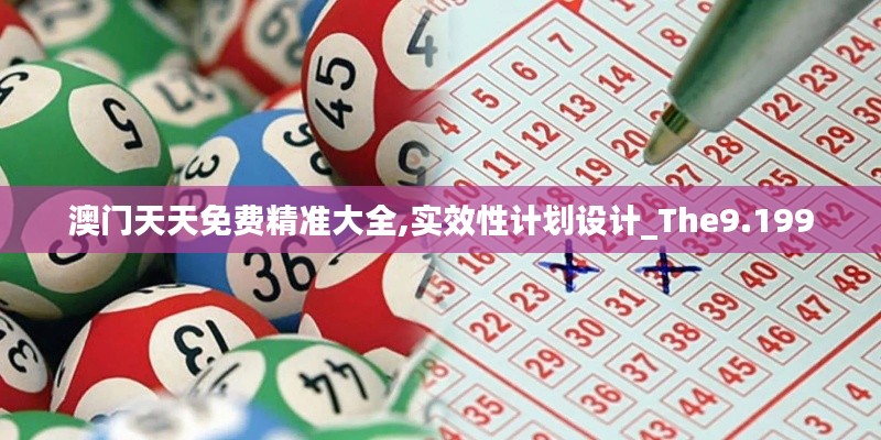 澳门天天免费精准大全,实效性计划设计_The9.199