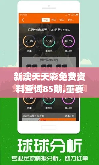 新澳天天彩免费资料查询85期,重要性解析方法_HD5.873