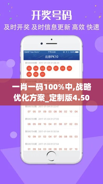 一肖一码100%中,战略优化方案_定制版4.505