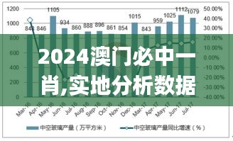 2024澳门必中一肖,实地分析数据应用_视频版10.471