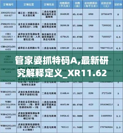 管家婆抓特码A,最新研究解释定义_XR11.629