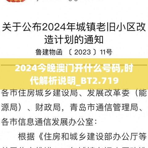 2024今晚澳门开什么号码,时代解析说明_BT2.719