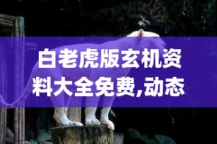 白老虎版玄机资料大全免费,动态解释词汇_尊贵款9.348