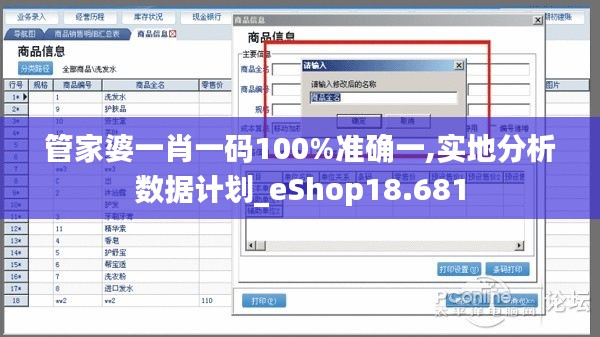 管家婆一肖一码100%准确一,实地分析数据计划_eShop18.681