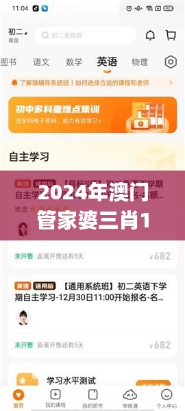 2024年澳门管家婆三肖100%,实效设计计划_挑战款9.928