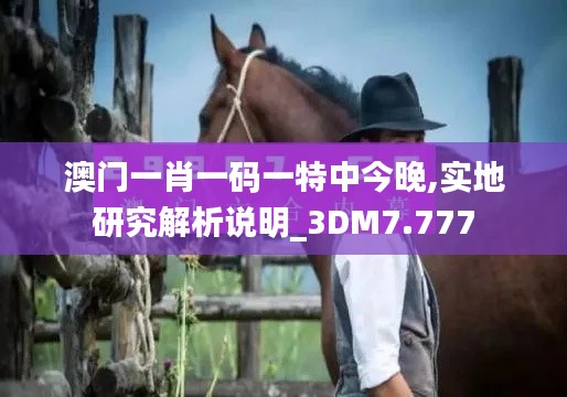 澳门一肖一码一特中今晚,实地研究解析说明_3DM7.777