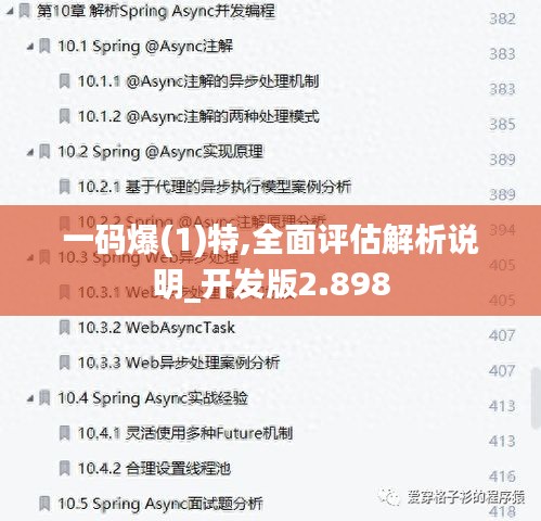 一码爆(1)特,全面评估解析说明_开发版2.898