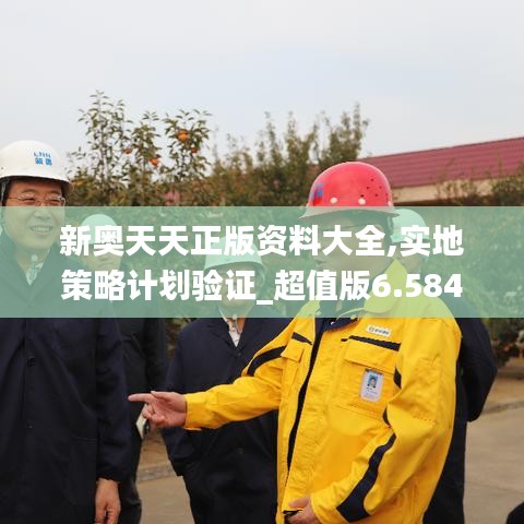 新奥天天正版资料大全,实地策略计划验证_超值版6.584