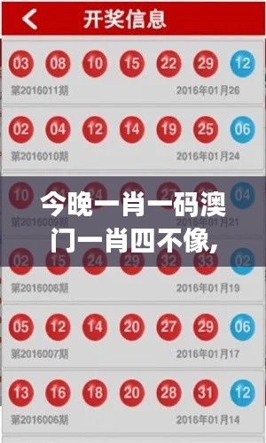 今晚一肖一码澳门一肖四不像,数据整合执行计划_经典款1.825