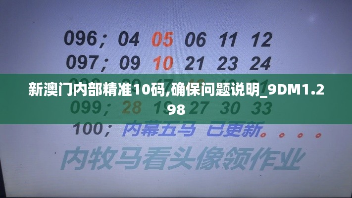 新澳门内部精准10码,确保问题说明_9DM1.298