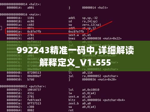 992243精准一码中,详细解读解释定义_V1.555