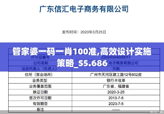 管家婆一码一肖100准,高效设计实施策略_S5.686