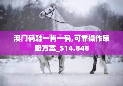 澳门码鞋一肖一码,可靠操作策略方案_S14.848