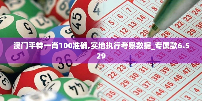 澳门平特一肖100准确,实地执行考察数据_专属款6.529