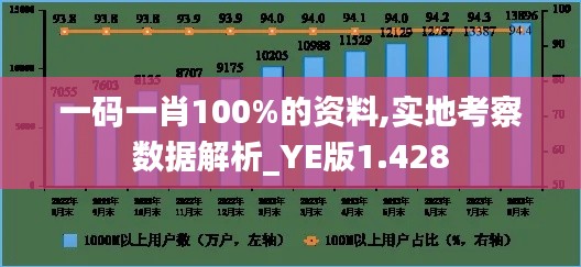 一码一肖100%的资料,实地考察数据解析_YE版1.428