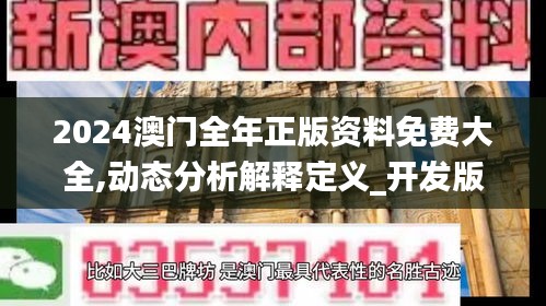 2024澳门全年正版资料免费大全,动态分析解释定义_开发版110.612