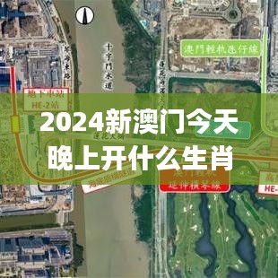2024新澳门今天晚上开什么生肖,最新方案解析_定制版4.702