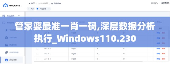 管家婆最准一肖一码,深层数据分析执行_Windows110.230
