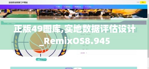 正版49图库,实地数据评估设计_RemixOS8.945