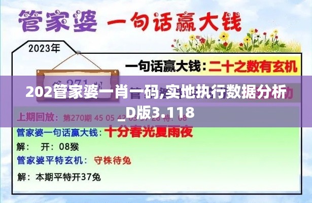 202管家婆一肖一码,实地执行数据分析_D版3.118
