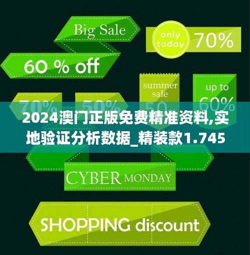 2024澳门正版免费精准资料,实地验证分析数据_精装款1.745