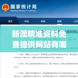 新澳精准资料免费提供网站有哪些,系统化评估说明_增强版18.395