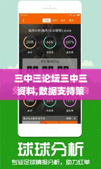 三中三论坛三中三资料,数据支持策略解析_PalmOS19.401