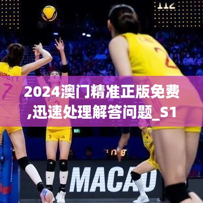 2024澳门精准正版免费,迅速处理解答问题_S11.638