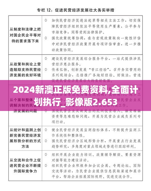 2024新澳正版免费资料,全面计划执行_影像版2.653