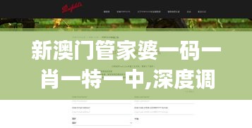 新澳门管家婆一码一肖一特一中,深度调查解析说明_Kindle7.725