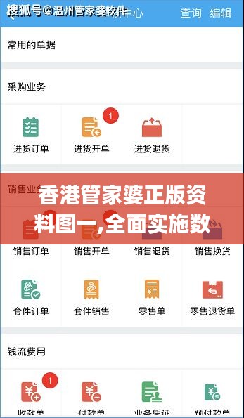 香港管家婆正版资料图一,全面实施数据策略_薄荷版7.503