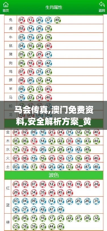 马会传真,澳门免费资料,安全解析方案_黄金版5.675