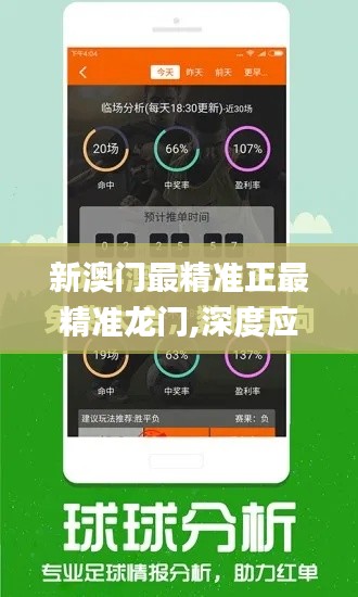 新澳门最精准正最精准龙门,深度应用数据解析_专属款6.452