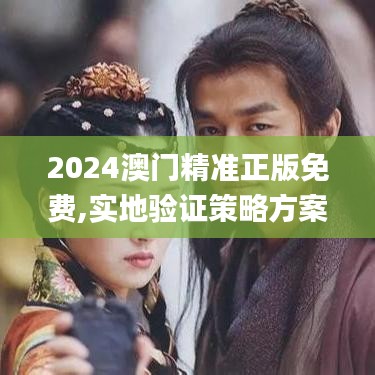2024澳门精准正版免费,实地验证策略方案_nShop5.716