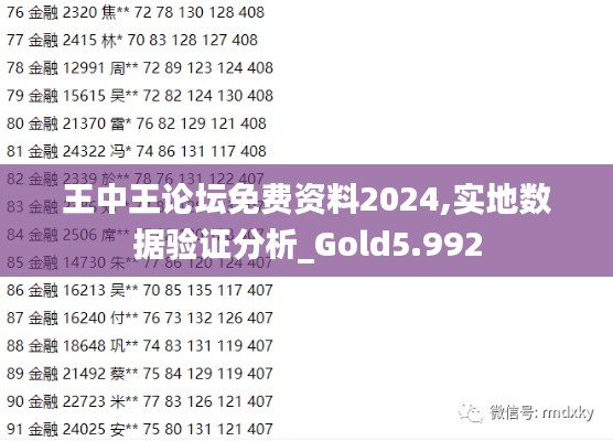 王中王论坛免费资料2024,实地数据验证分析_Gold5.992
