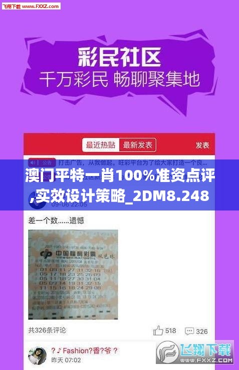 澳门平特一肖100%准资点评,实效设计策略_2DM8.248