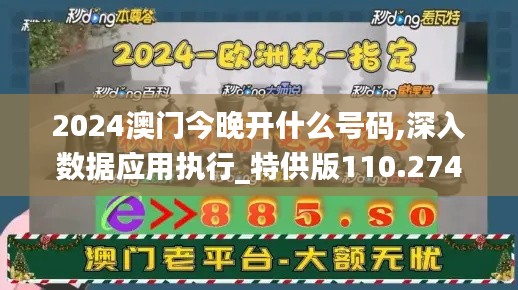 2024澳门今晚开什么号码,深入数据应用执行_特供版110.274