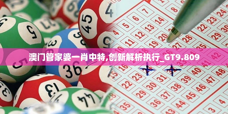 澳门管家婆一肖中特,创新解析执行_GT9.809