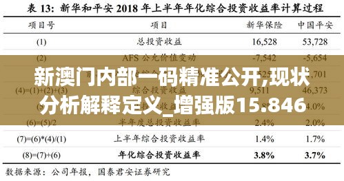 新澳门内部一码精准公开,现状分析解释定义_增强版15.846