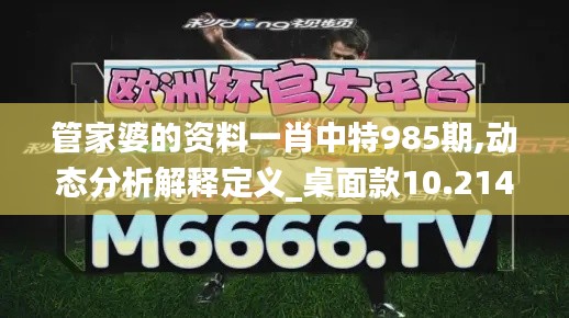 管家婆的资料一肖中特985期,动态分析解释定义_桌面款10.214
